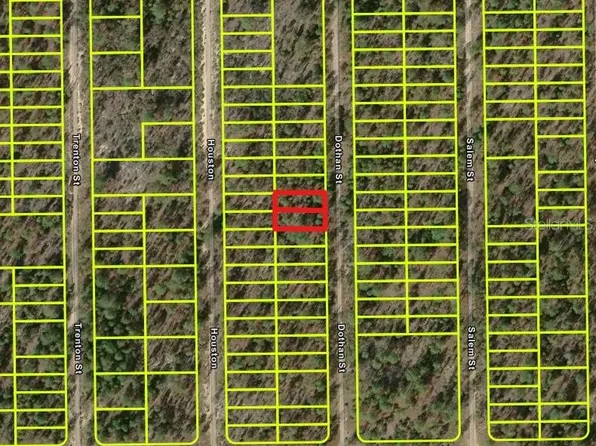 427 Dothan St Lot 18, Interlachen, FL 32148