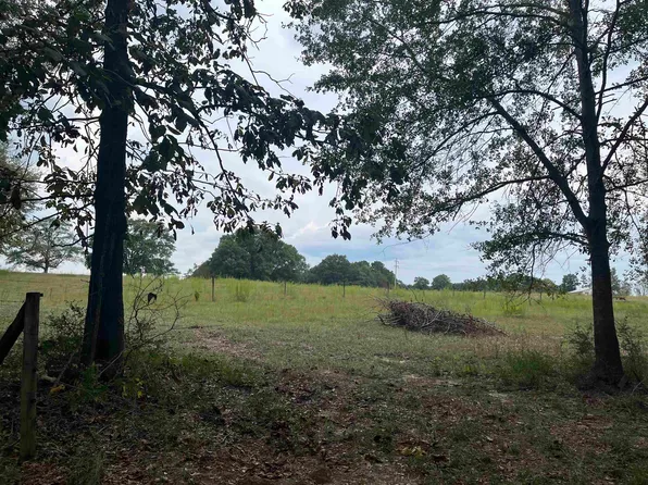 0 Cool Springs Rd, Opp, AL 36467