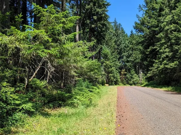 10006 129th Avenue Ct, Anderson Island, WA 98303