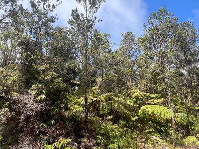 Ala Ohia St LOT 53-B-677, Volcano, HI, 96785