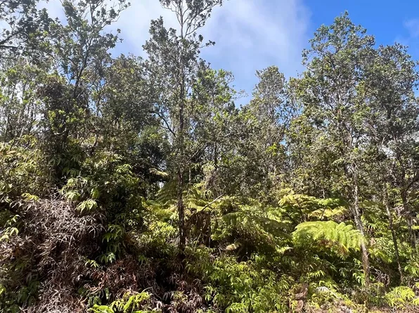 Ala Ohia St Lot 53-B-677, Volcano, HI 96785