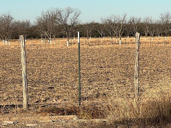 2nd image of LOT Fm 1908 #B