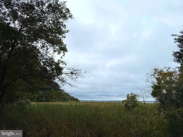 14985 Persimmon Ct, Issue, MD 20645