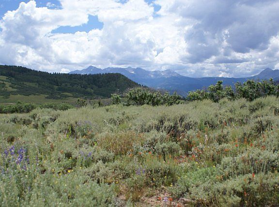 5th image of 10 Old Elam Ranch Rd
