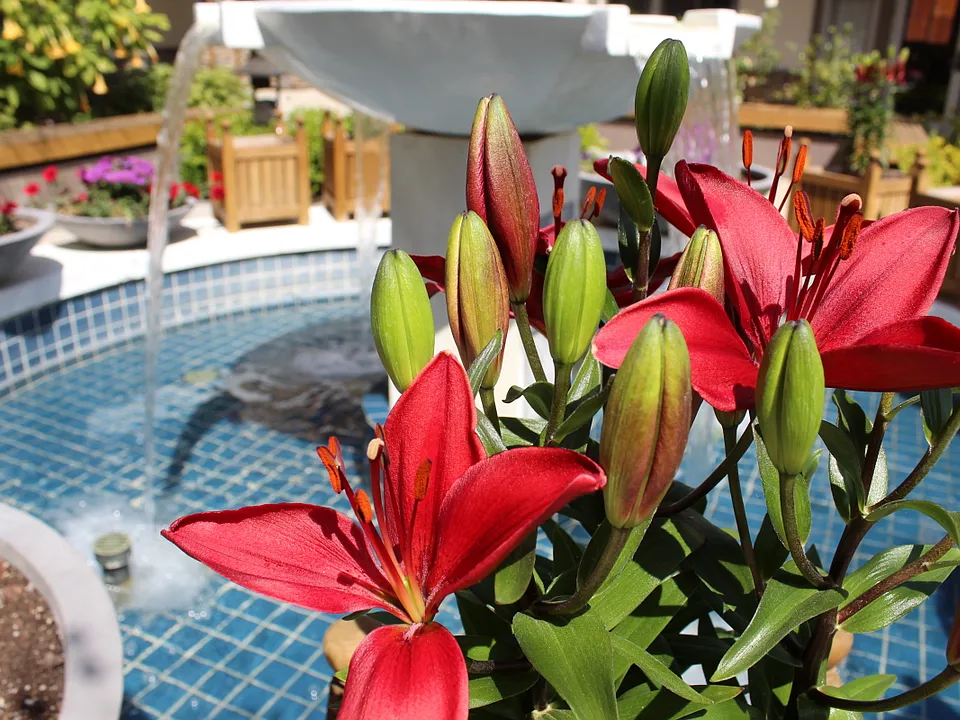 Flowers in Bloom at The Fountain