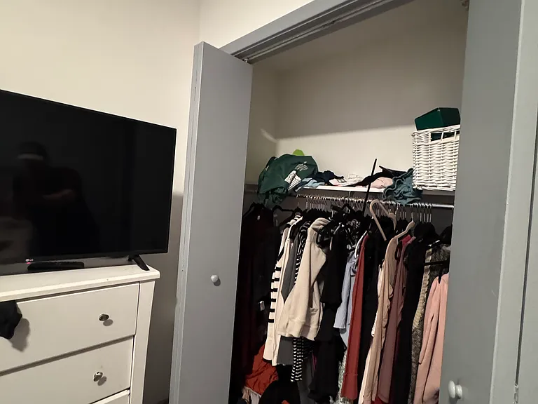 Bedroom closet