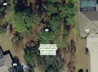 14210 Mitigation Ct, Hudson, FL 34667
