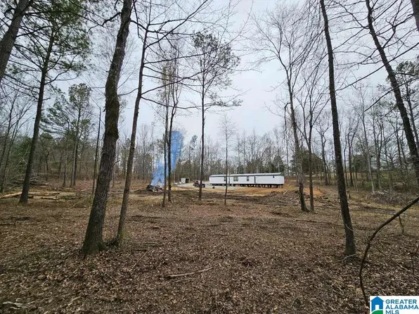 11028 Highway 61 #0, Wilsonville, AL 35186
