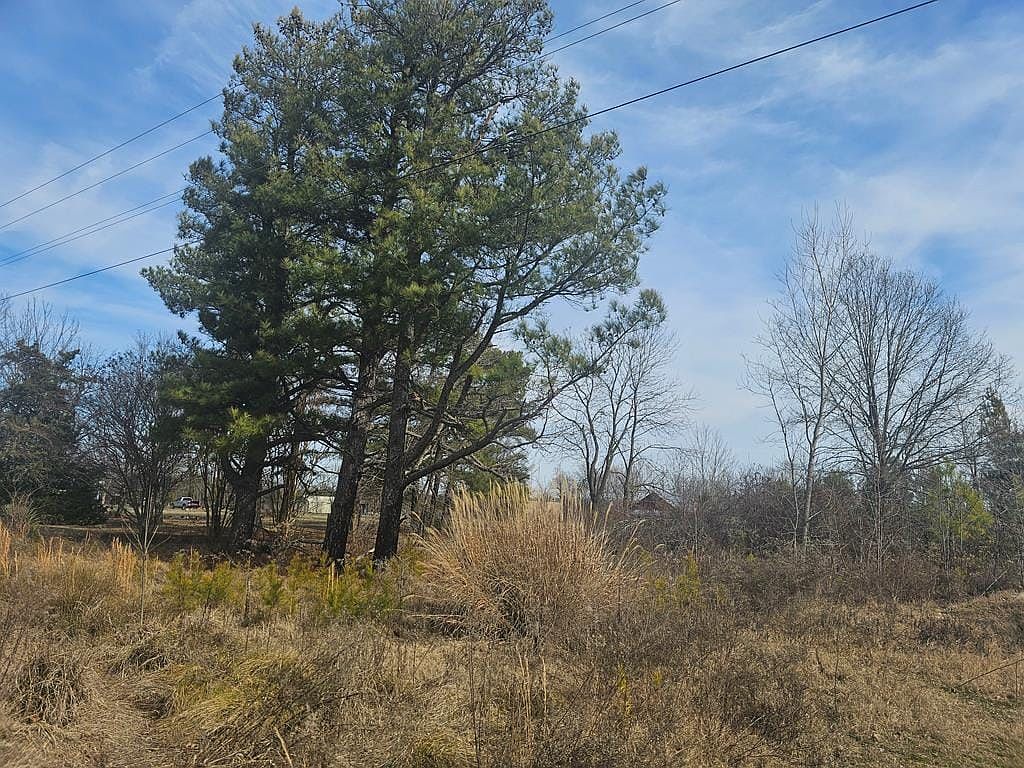 12652 State Highway 118, Tyronza, AR 72386 Zillow