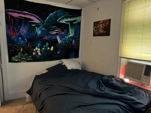 420 Pierce St — Photo 7