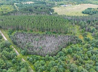 LOT 4 Black Bear Ln, Phelps, WI 54554