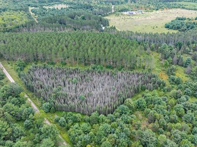 LOT 4 Black Bear Ln, Phelps, WI, 54554