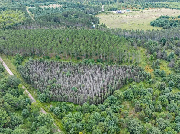 LOT 4 Black Bear Ln, Phelps, WI 54554