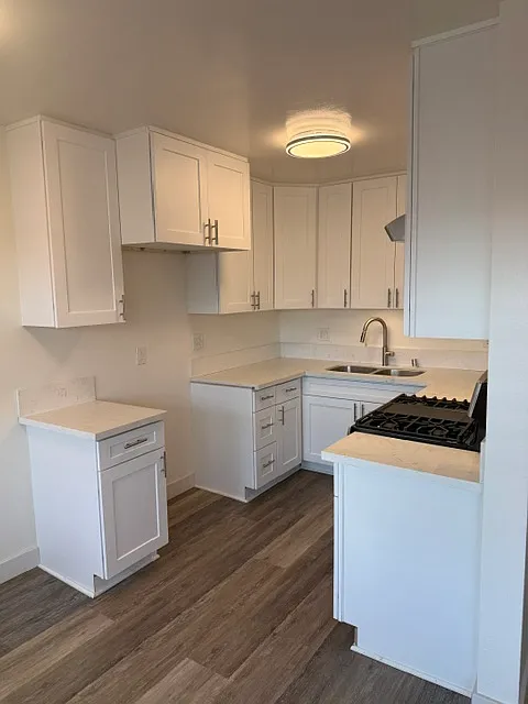 1 bed, 650 sqft, $1,895 — Photo 2