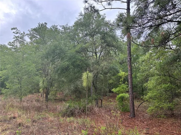 0 SW 19th Pl, Ocala, FL 34481