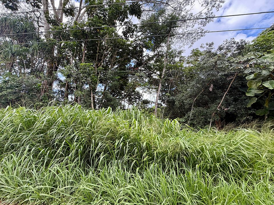 2nd image of Lalakea St Lot 797