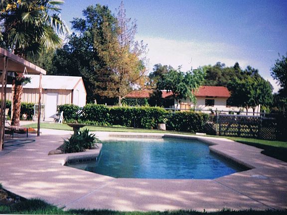 backyard north