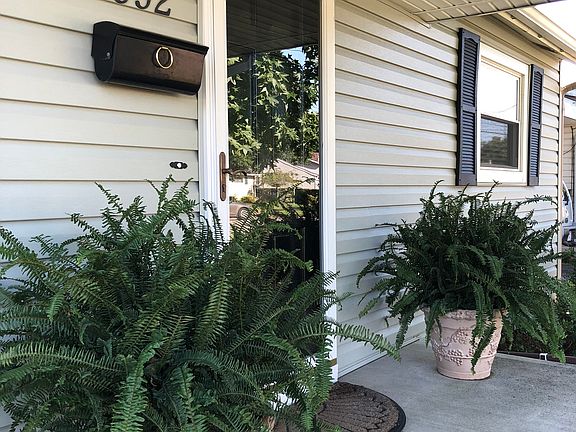 Ferns and planters stay