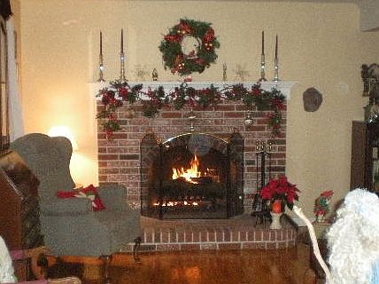 Fireplace in living room