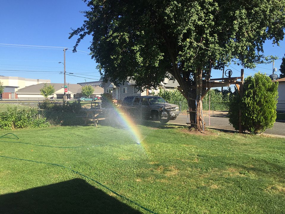 Front yard