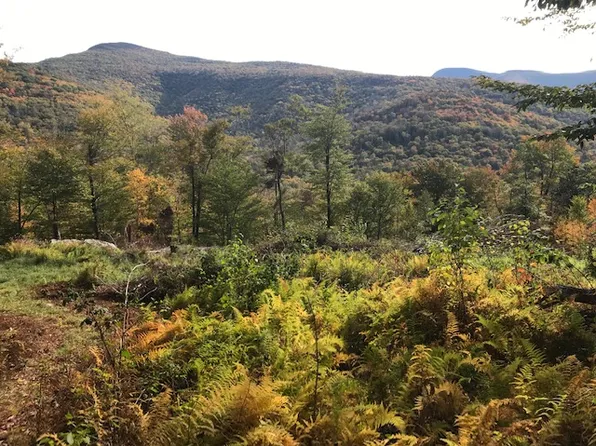 Larkin Farm Rd, Shandaken, NY 12464