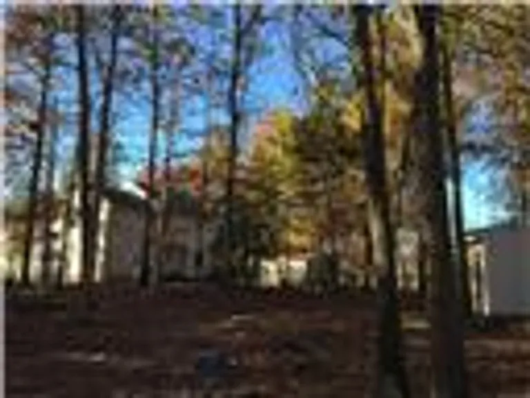 5633 Lake Sharon Dr — Photo 12