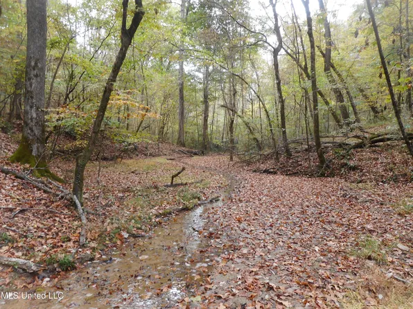 Smith Rd, Satartia, MS 39162