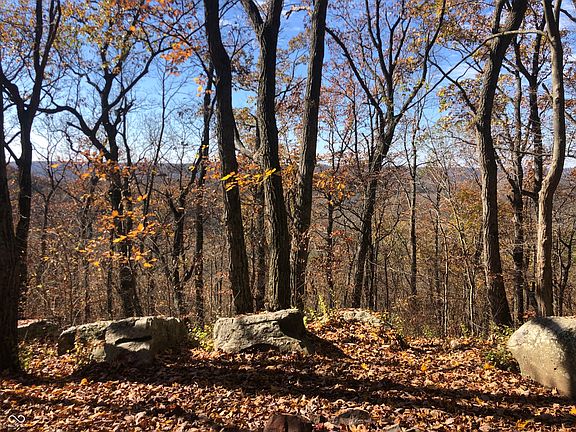 75th image of this home