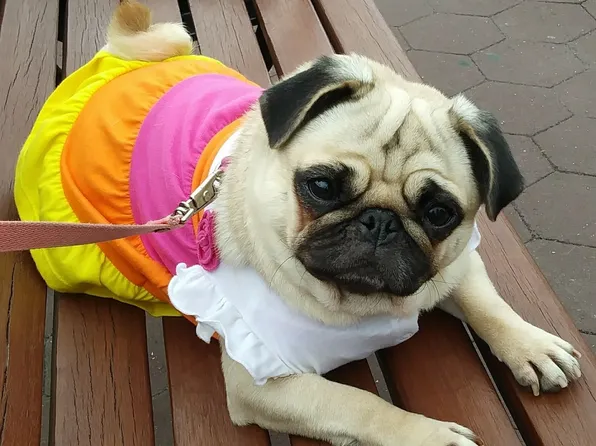 7002 Blvd East image 31 of 31