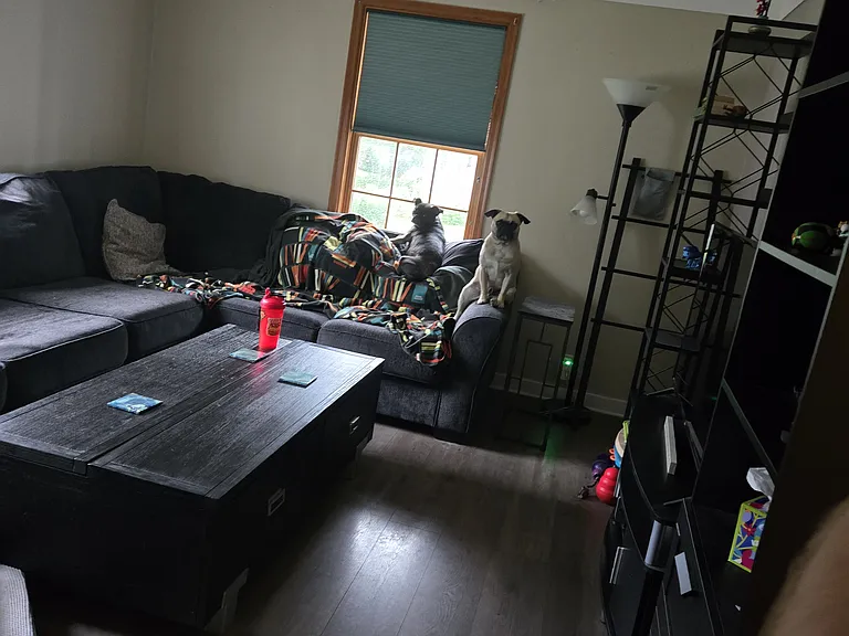 View of living room (the two dogs in photo of dogs that will be living in the house)
