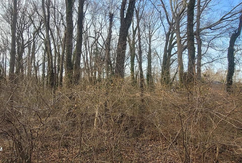 1st image of Mayo Rd