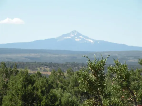 TBD mailbox, Redvale, CO 81431