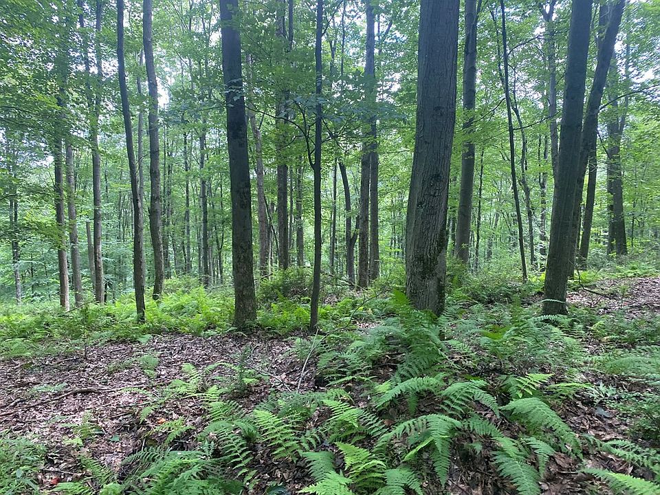 76 Tobeco Ln, Strattanville, PA 16258 MLS 158213 Zillow