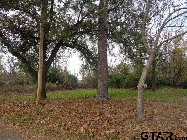 817 Carver St, Winnsboro, TX 75494