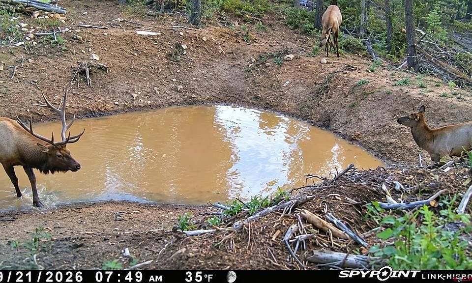 1st image of TBD Government Springs