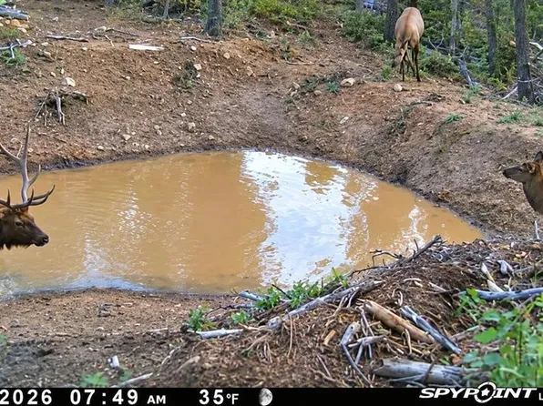 TBD Government Springs, Montrose, CO 81403