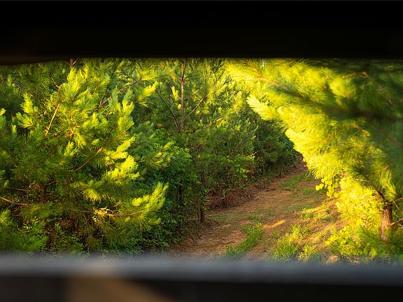 3rd image of 1 Milldale Rd