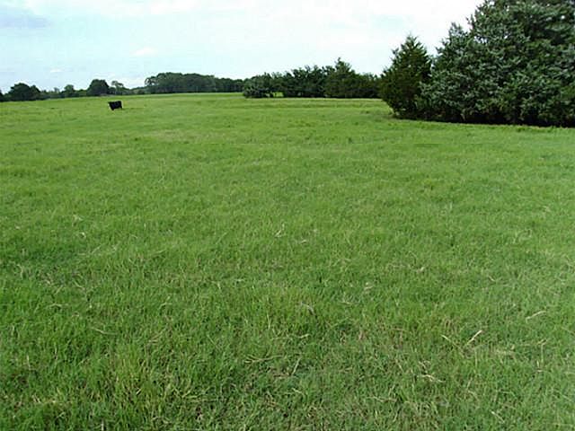 1st image of 1374 County Road 167
