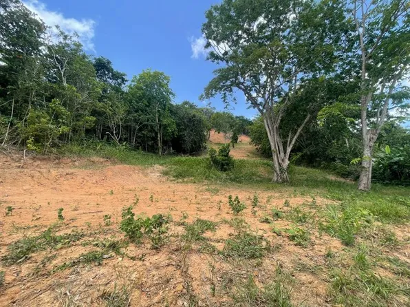 Parcela 17b Bo Quebrada Cruz, Toa Alta, PR 00953