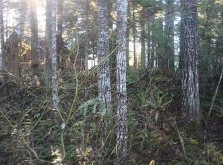 Timberline Viloge, Packwood, WA 98361