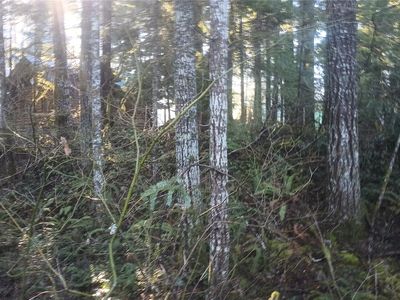 123 Elkhorn Trail, Packwood, WA, 98361