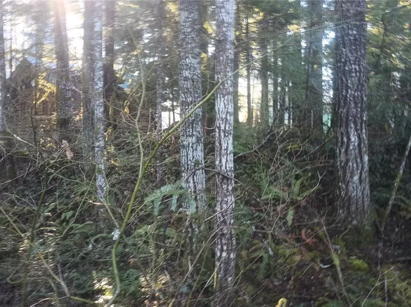 123 Elkhorn Trail, Packwood, WA 98361