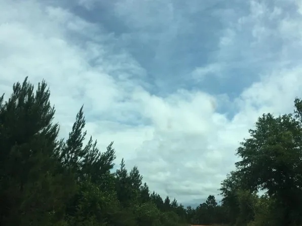 0 Knowles Rd Lot H, Flomaton, AL 36441