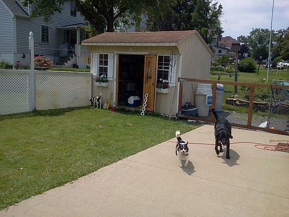 Side yard, patio, shed