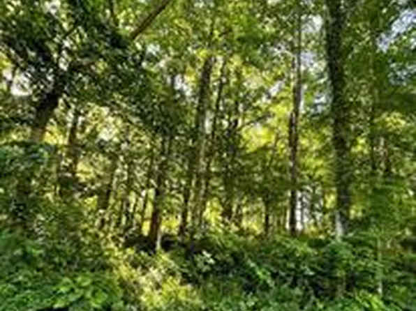 4345 Flora Ave, Prince Frederick, MD 20678