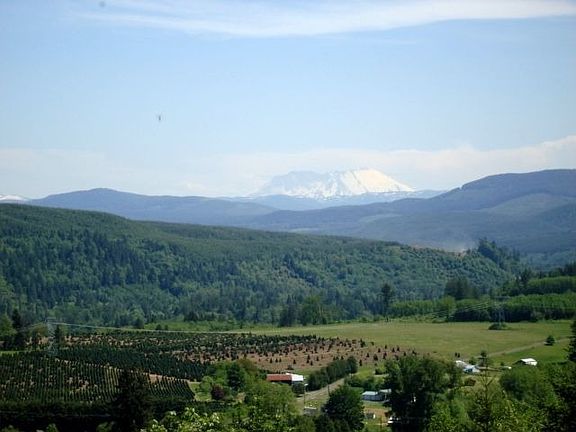 Mt. St. Helens view