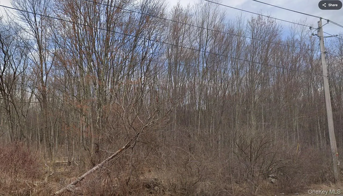 Ingrassia Road photo 1