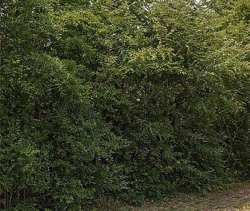 2nd image of 0 Viewpoint Rd