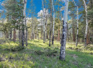 Molly Dr, Lot #3 LOT 3, Conifer, CO 80433