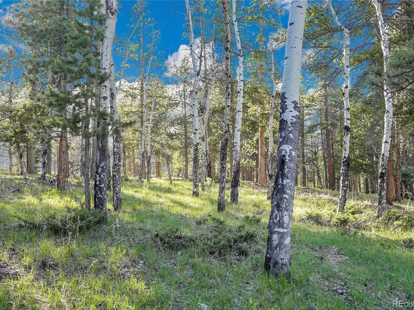 Molly Dr, Lot #3 LOT 3, Conifer, CO 80433